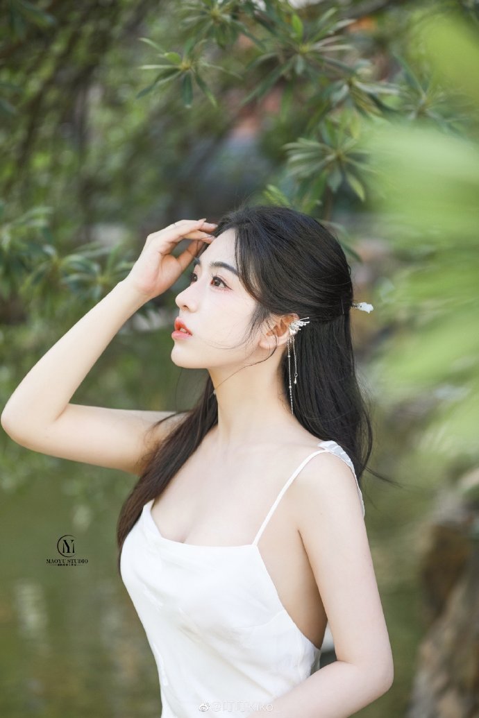第二十条 封面