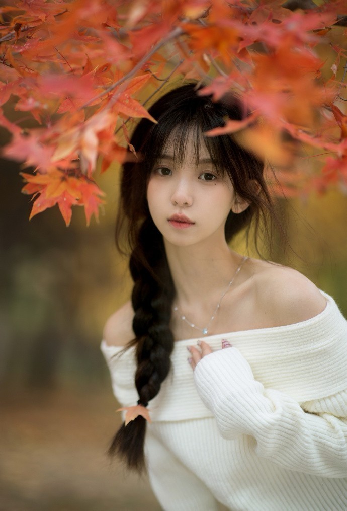 大明王朝1566